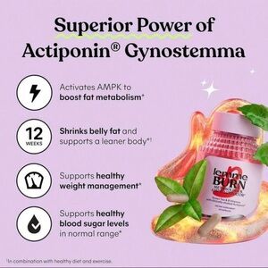 New Lemme Burn & Fat Activator